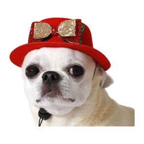 Hundedragt Rd Hat