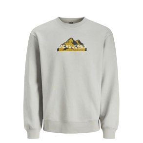 Sweaters uden Htte til Mnd Jack & Jones SWEAT CREW NECK 12262094 Gr
