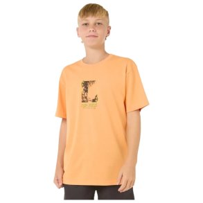 Brne Kortrmet T-shirt Rip Curl Raw Energy Frame Tee Orange