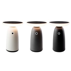 Solcellelampe Lumineo 897850 22 cm Touch fjernbetjening